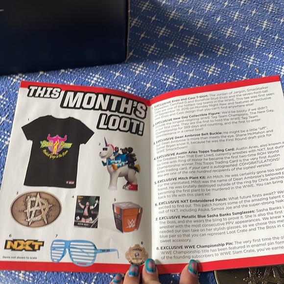 The first ever WWE Slam crate/Lootcrate. - Picture 8 of 8